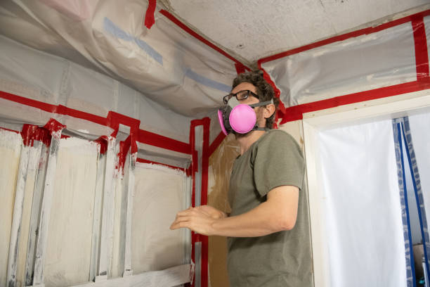 Best Air Quality Testing for Mold Spores  in Vandenberg Village, CA