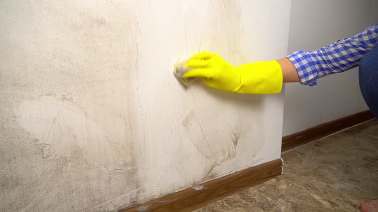 Best Biohazard Mold Removal  in Vandenberg Village, CA