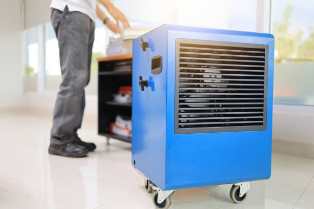 Best Mold Damage Restoration  in Vandenberg Village, CA