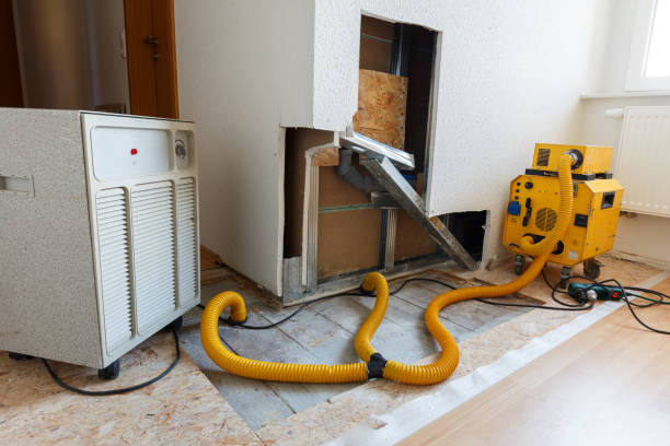 Best Water Damage & Mold Remediation  in Vandenberg Village, CA