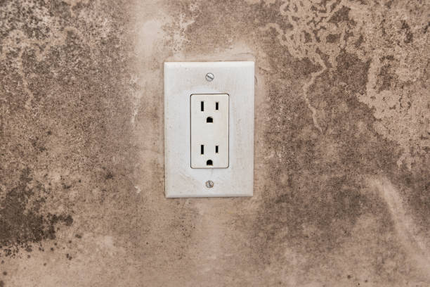 Best Forensic Mold Investigation  in Vandenberg Village, CA